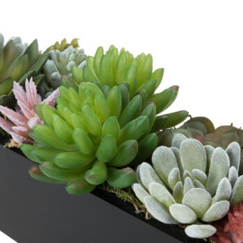 Black Wood Planter Box